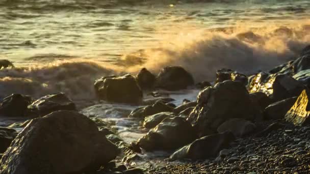 Занепад Моря Дикому Пляжі Хвилі Морі Пляжний Відпочинок Туризм Красива — стокове відео