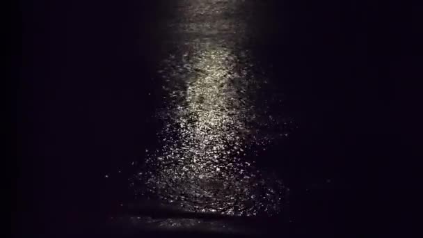 月亮在海面上的小径 一夜的风景 在黑暗的水中倒影 — 图库视频影像