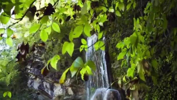 Beautiful Falls Mountains Wild Nature North Caucasus — Stock Video