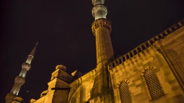 Mosque City Istanbul Architecture Sights Istanbul — Stock Video