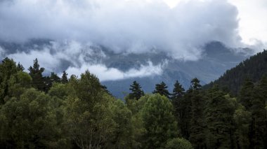 Dağlar ve Kuzey Kafkaslar doğası, dağ Gorge güzel görünümü