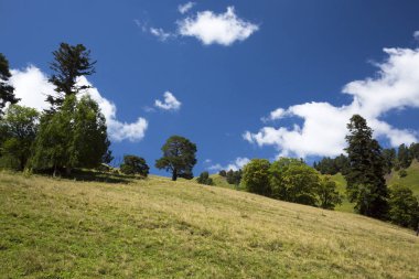 Dağlar ve Kuzey Kafkaslar doğası, dağ Gorge güzel görünümü