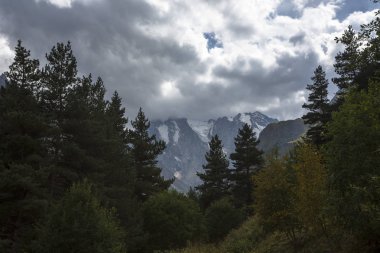 Dağlar ve Kuzey Kafkaslar doğası, dağ Gorge güzel görünümü