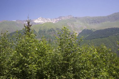 Dağlar ve Kuzey Kafkaslar doğası, dağ Gorge güzel görünümü