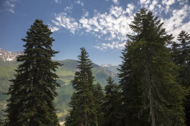 Dağlar ve Kuzey Kafkaslar doğası, dağ Gorge güzel görünümü