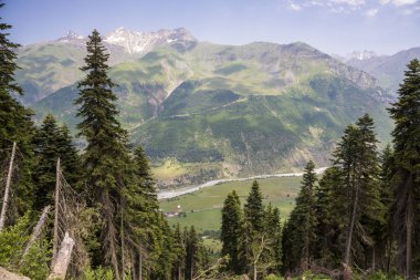 Dağlar ve Kuzey Kafkaslar doğası, dağ Gorge güzel görünümü
