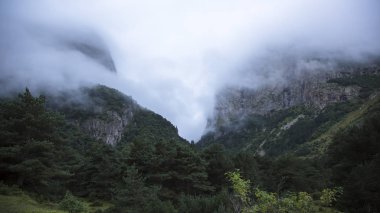 Kuzey Kafkasya dağları, bulutlar içinde dağ tepelerinde. Vahşi doğa