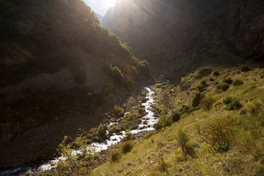 Güzel gorge dağ nehirde. Kuzey Kafkasya dağlarında vahşi doğada