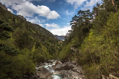 Güzel gorge dağ nehirde. Kuzey Kafkasya dağlarında vahşi doğada