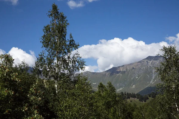 Hory Příroda Severního Kavkazu Nádherný Výhled Horský Rokli — Stock fotografie