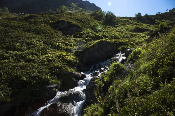 Río Montaña Hermoso Desfiladero Naturaleza Salvaje Las Montañas Del Cáucaso — Foto de Stock