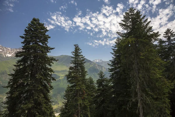 Dağlar ve Kuzey Kafkaslar doğası, dağ Gorge güzel görünümü