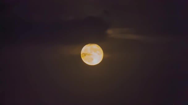 Rising Full Moon Night Sky — Stock Video