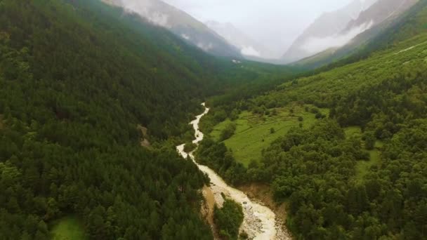山峡の川 緑の谷の雑草 霧の高い山々 北コーカサスの自然 — ストック動画