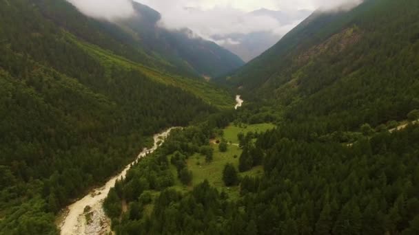 Rzeka Wąwozie Górskim Chwasty Nad Zieloną Doliną Wysokie Góry Mgle — Wideo stockowe