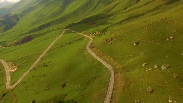 Route Montagne Dans Belle Gorge Les Mauvaises Herbes Sur Route — Video