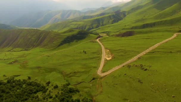Ορεινές Δρόμος Στο Πανέμορφο Φαράγγι Ζιζάνια Πάνω Από Δρόμο Ένα — Αρχείο Βίντεο