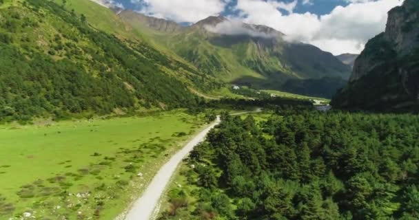 Estrada Montanha Entre Encostas Verdes Desfiladeiro Pitoresco Natureza Paisagem Norte — Vídeo de Stock