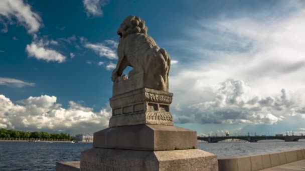 Λιοντάρια Στις Όχθες Του Ποταμού Νέβα Αρχιτεκτονική Πόλης Αγία Πετρούπολη — Αρχείο Βίντεο
