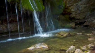 Ormanda güzel bir şelale