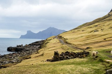 Faroe Adaları 'nda inanılmaz manzara (Danimarka, Avrupa). Kuzey Adalarının Güzel Panoramik Sahnesi