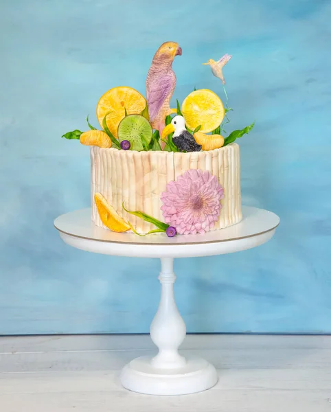 Ein Schöner Fondant Kuchen Mit Papagei Und Tropischen Früchten — Stockfoto