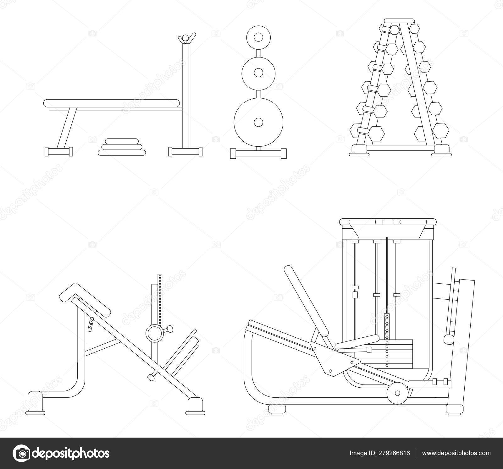 Contour Set Of Simulators For The Gym Bench Press Load For Rod