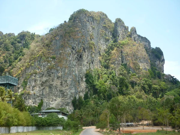 Phuket Laem Sing Beach Таїланд Пляж Острів Острів Тропічні Пальми — стокове фото