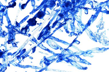 Soyut mürekkep arkaplanı. Mermer tarzı. Beyaz kağıda siyah boya dokusu. Ağ ve oyun tasarımı için duvar kağıdı. Grunge çamur sanatı. Kalem suyunun makro resmi. Koyu Smear