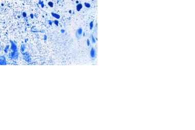 Soyut mürekkep arkaplanı. Mermer tarzı. Beyaz kağıda siyah boya dokusu. Ağ ve oyun tasarımı için duvar kağıdı. Grunge çamur sanatı. Kalem suyunun makro resmi. Koyu Smear