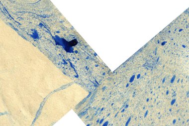 Soyut mürekkep arkaplanı. Mermer tarzı. Beyaz kağıda siyah boya dokusu. Ağ ve oyun tasarımı için duvar kağıdı. Grunge çamur sanatı. Kalem suyunun makro resmi. Koyu Smear