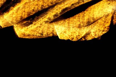 lekeli altın sarı boya konturları doku siyah kağıt, kopya alan arka plan üzerinde