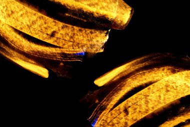 Soyut fırça altın sarı boya konturları doku siyah kağıt üzerinde