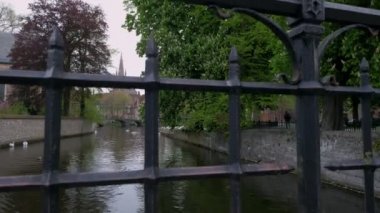 Katelijnestraat kanal, kuğu ve sivri, kilise, Meryem Bruges Brugge Belçika ortaya çıkarmak için parmaklıklar arkasında kamera yükselir