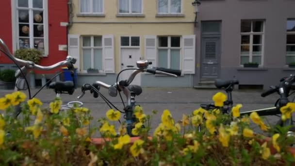 Cámara Desliza Sobre Flores Desenfocadas Con Bicicletas Casas Tradicionales Callejón — Vídeo de stock