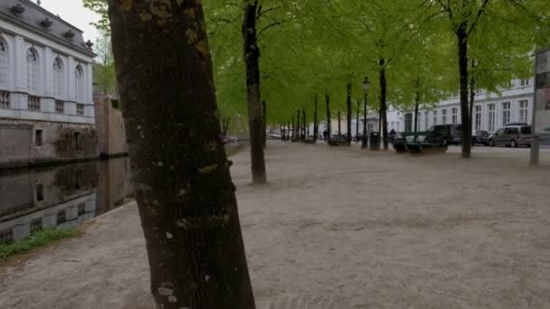 Skjut Klipp Förbi Trädet Dijver Kanal Brygge Belgien När Cyklister — Stockvideo