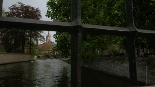 Kameran Stiger Bakom Räcken Att Avslöja Dijver Canal Svanar Och — Stockvideo