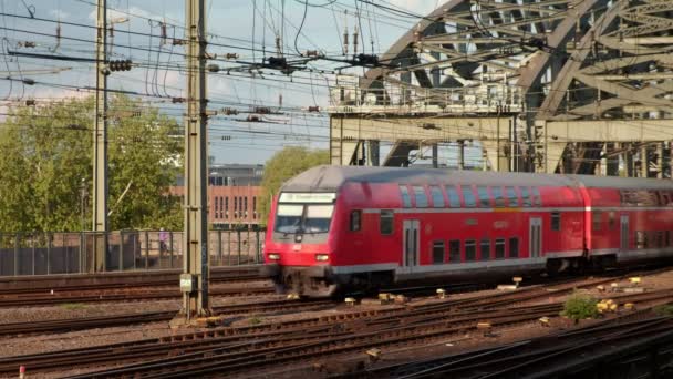 Clip Statica Treno Rosso Che Attraversa Hohenzollernbrucke Colgone Germania — Video Stock