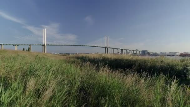 Drone Çim Nehir Banka Kraliçe Elizabeth Köprüsü Ile Arka Planda — Stok video