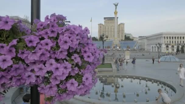 Estilo Jib Descienden Desde Detrás Las Flores Plaza Independencia Kiev — Vídeos de Stock