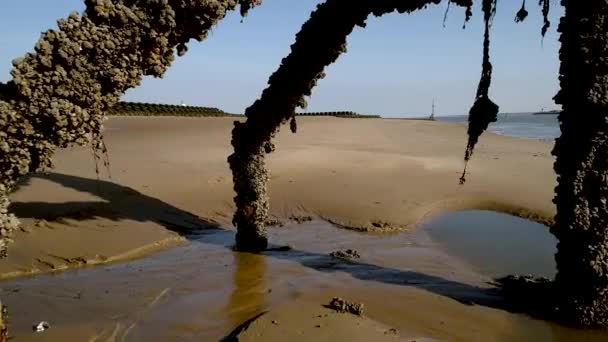 Drone Flyger Genom Täckt Tidvatten Markör New Brighton Beach Wallasey — Stockvideo