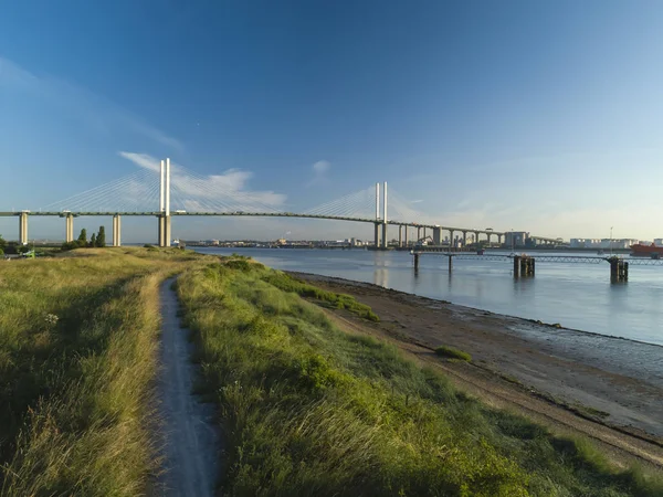 Drohne Schoss Über Gras Ufer Der Themse Königin Eliza Brücke — Stockfoto