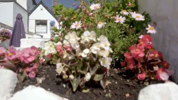 相机从后面的花朵升起 揭示皇家标准酒吧在莱姆瑞吉的花园和后方 — 图库视频影像