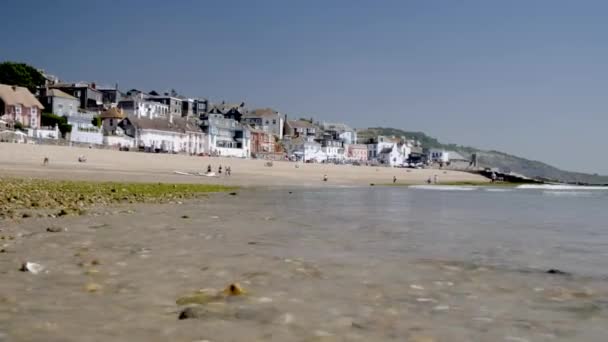 Foka Stylu Powstanie Nad Sandy Beach Lyme Regis Jako Małe — Wideo stockowe