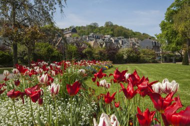 Honfleur/Fransa 4 Mayıs 2006 bahar çiçekleri bir parkta