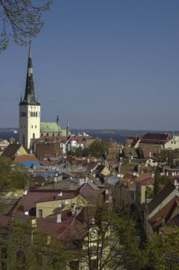 Tallinn/Estonia 10 Mayıs 2006 - Tallinn eski şehir manzaralı görünüm
