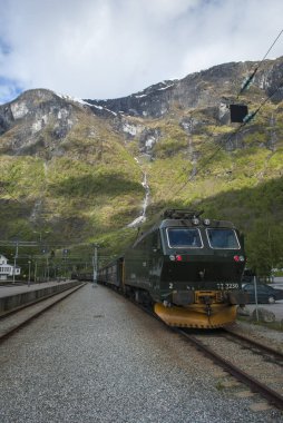 Norveç'te Flam Tren