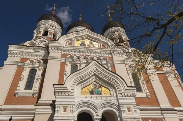 Cattedrale Alexander Nevski Tallinn Estonia — Foto Stock