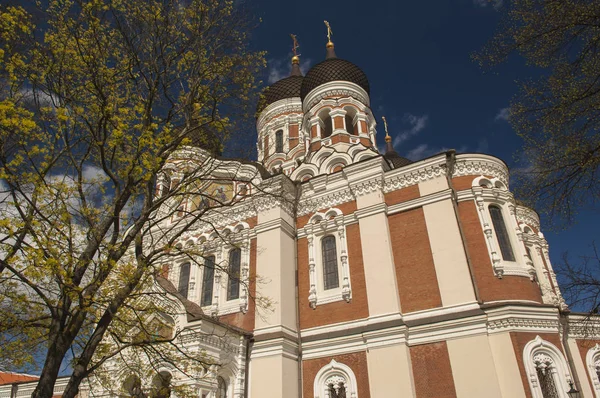 Alexander Nevski Kathedraal Tallinn Estland — Stockfoto