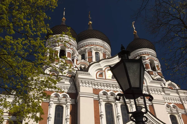 Καθεδρικός Ναός Αλεξάντερ Νέφσκι Ταλίν Εσθονία — Φωτογραφία Αρχείου